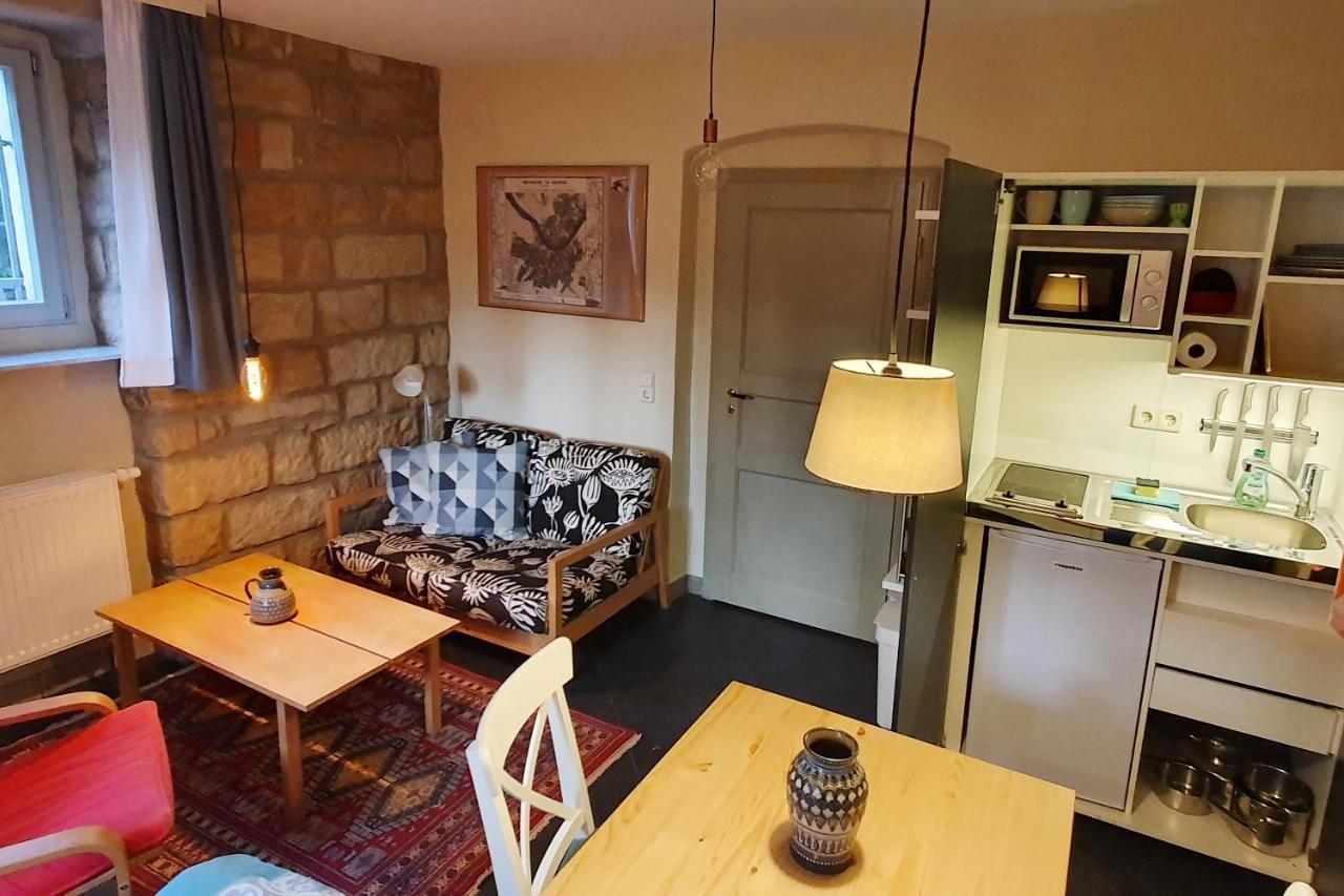 Villa Haniel Apartment Leo Dresden Bagian luar foto