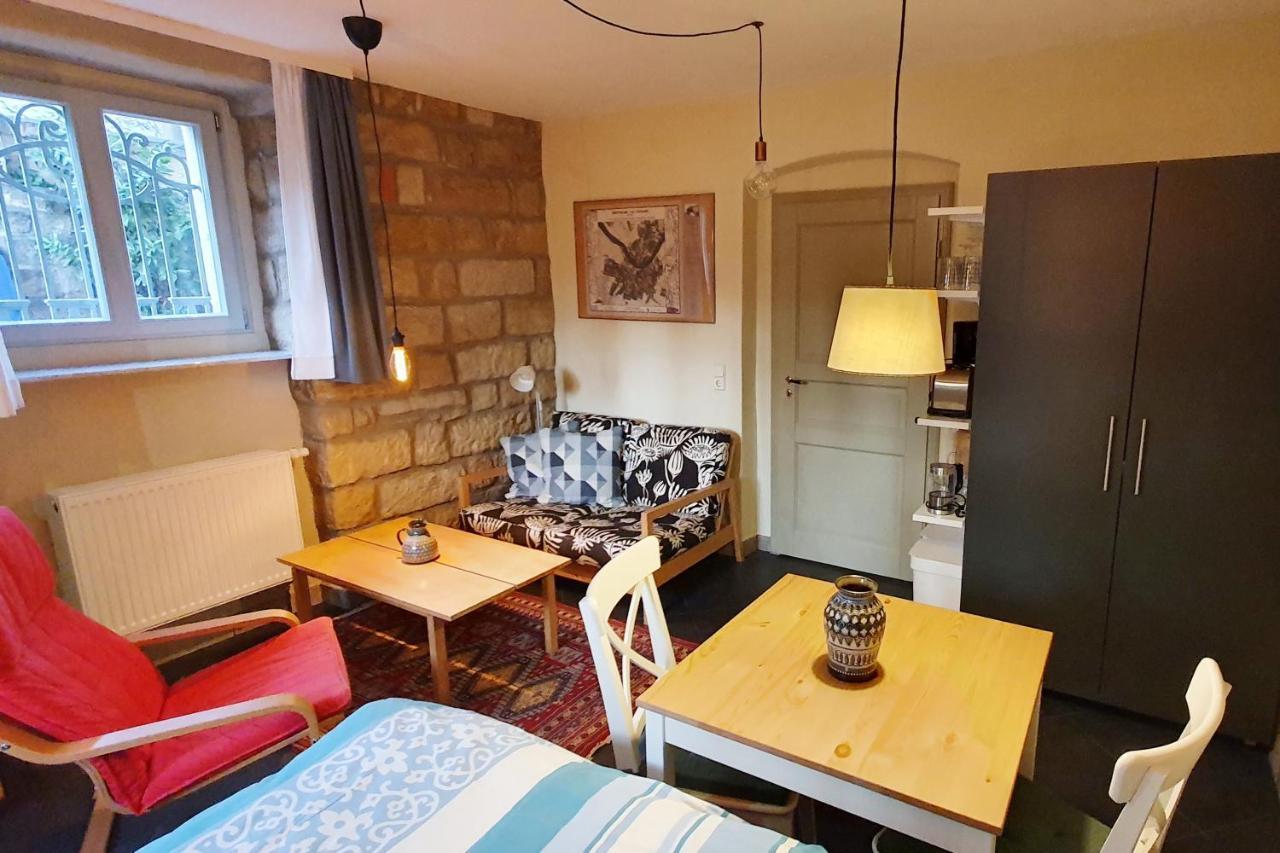 Villa Haniel Apartment Leo Dresden Bagian luar foto